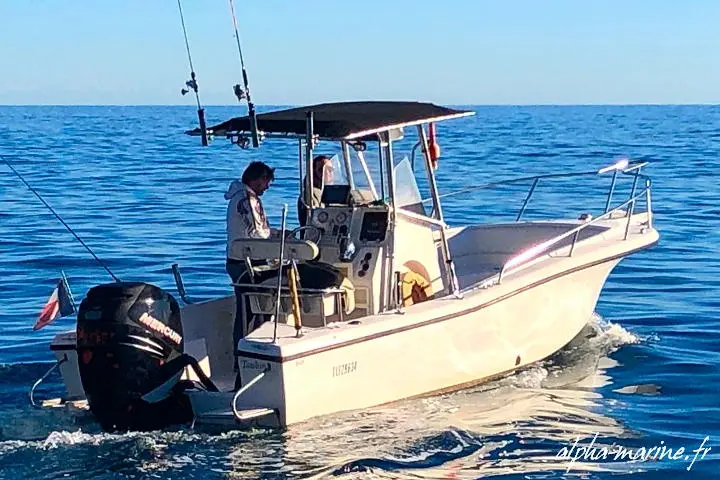 Excursion en bateau de pêche 