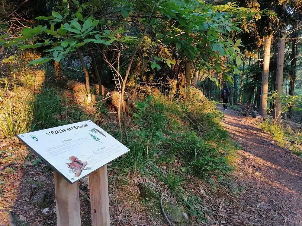 Sentier des Écureuils